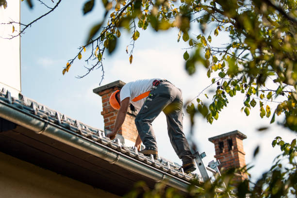 Best Residential Roofing Contractor  in Montague, MI