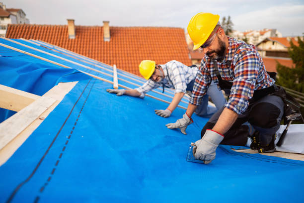 Best Roof Repair Services  in Montague, MI